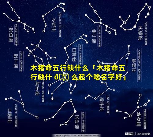 木猪命五行缺什么「木猪命五行缺什 🦈 么起个啥名字好」